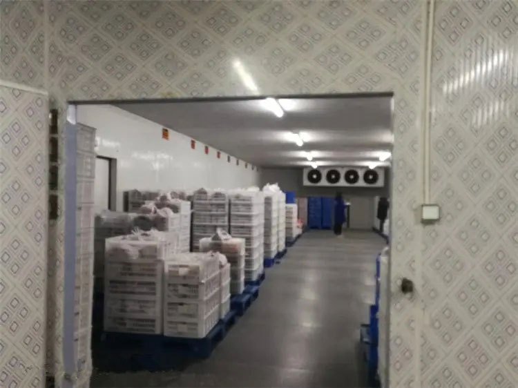 图为尊龙凯时工程建造的冷库
